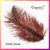 Feather - brown