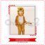 Lion Costume - large