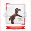 The Horse Costume - medium