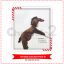 The Horse Costume - large