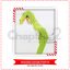 Crocodile Costume - large