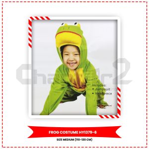 Frog Costume