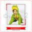 Frog Costume - medium