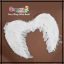 Fairy Wings Angel Shape - white