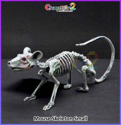 Small Skeleton Mouse spooky Halloween prop and bone decoration