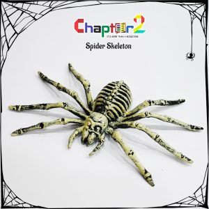 Spider Skeleton