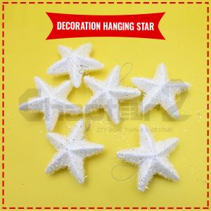 Decoration Hanging Star 6 Pcs White Large
