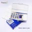 Winsor and Newton COTMAN Watercolor Set - 16-colors