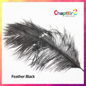 Feather