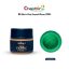 BlueBird Fabric Paint Fabric Colour 25ML Bottle - emerald-green