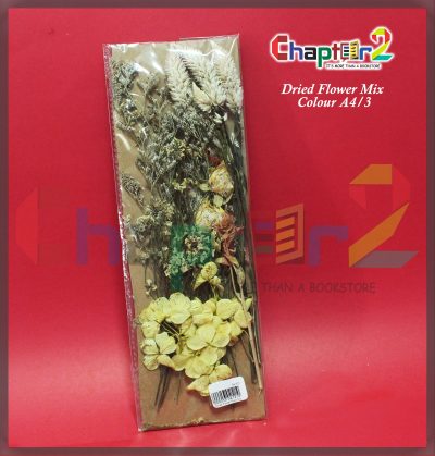 Dried Flower Mix Organic Elegance for Artistic Projects