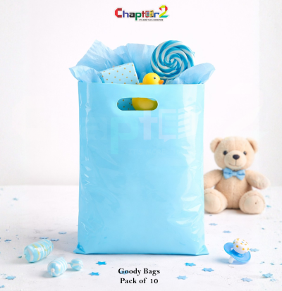 Plain Sky Blue Goody Bags 10 x 6.5 Inches Pack of 10 – Premium Party Favor Bags Gift Packaging Bags