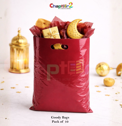 Plain Red Goody Bags 10 x 6.5 Inches Pack of 10 – Premium Party Favor Bags Gift Packaging Bags