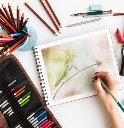 Professional Colors and Sketching