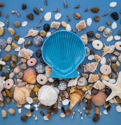 Sea Shell & Pebbles