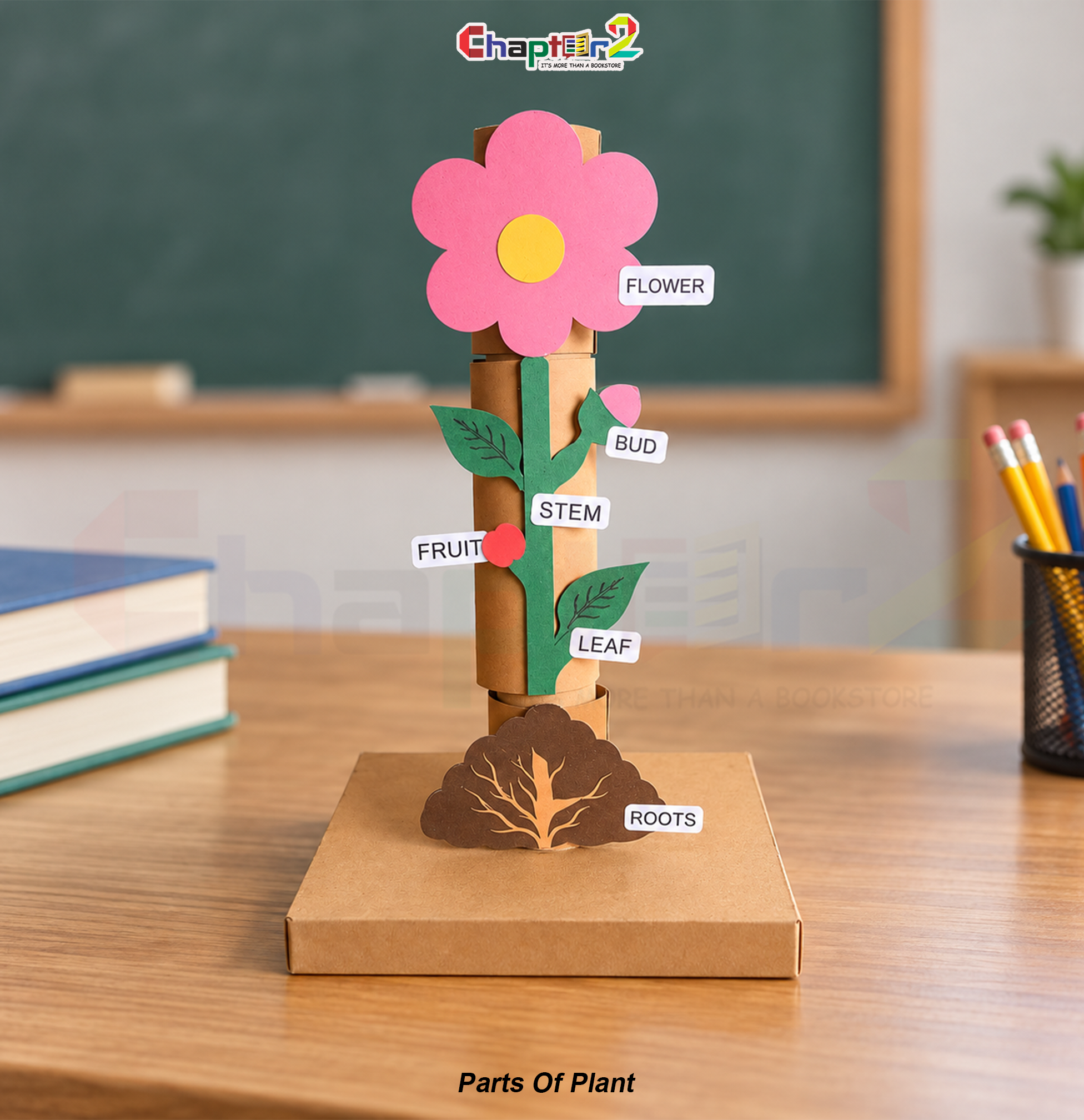 9a 3d student project parts of a plant model customized according to customer requirements with flower bud stem leaf fruit and roots for school science exhibition